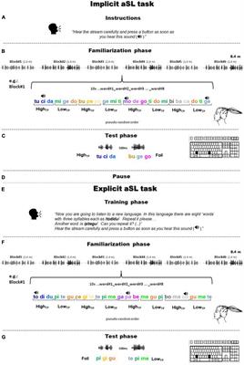 Learning Words While Listening to Syllables: Electrophysiological Correlates of Statistical Learning in Children and Adults